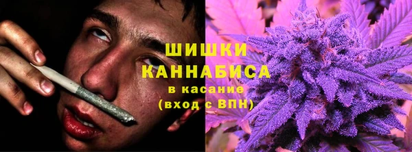 бошки Алзамай