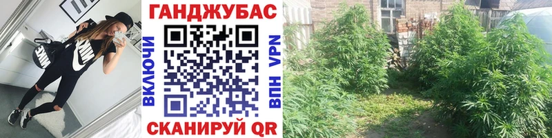 Канабис марихуана  площадка Telegram  Вихоревка  гидра вход 